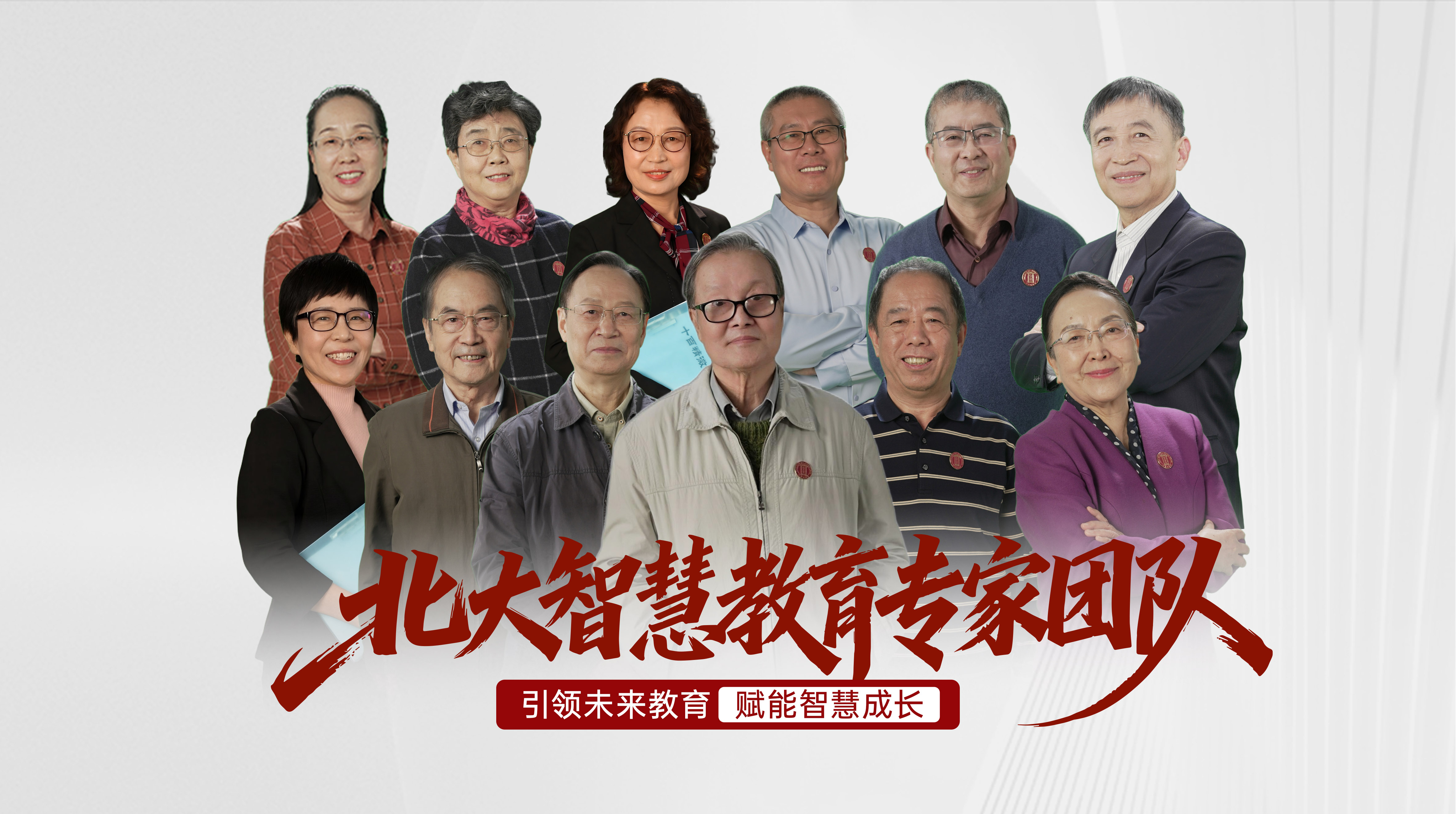 北大智慧教育专家团队
